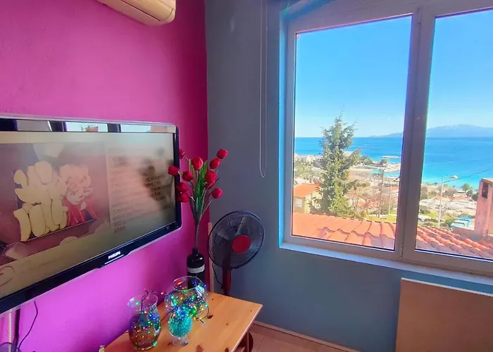 Joy View